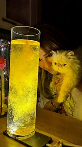 4.6M views · 48K reactions | كراميلة الجميلة  | غاده التلي , Ghada El Tally | Facebook