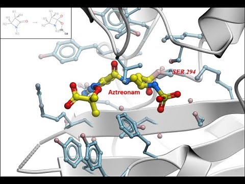 Covalent Docking Screening Webinar
