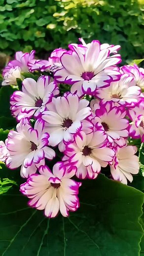 Привітання для матусі з 8 березня