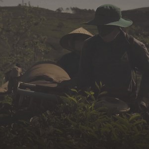 18K views · 1.9K reactions | Here are five Bible verses that will inspire us to persevere and live diligently according to God’s purpose. Take a few moments to reflect on these words of God in the Bible. You may learn something new by pondering on the wisdom of God. #WordsToLiveBy #TheOldPath | The Old Path | Facebook