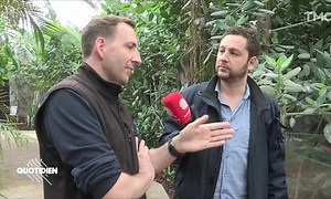 Chaouch Express – Extinction des espèces : la catastrophe est bien là