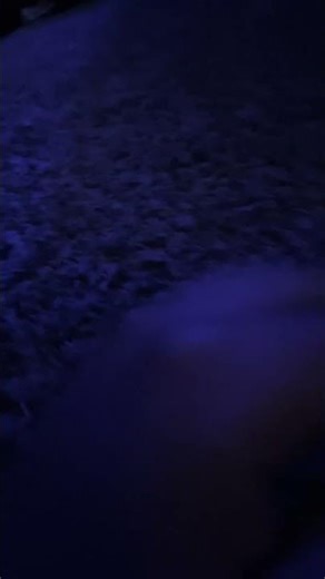 Trying to escape from homework 📚