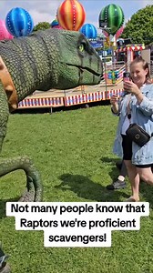 43K views · 1.8K reactions | Yoshi the scavenger at Edward Stokes Funfairs in Andover! - @50shades.of.nay #lol #beautiful #prank #jokes #hilarious #haha #pranking #scare #family #Smiles #Fair #funday #funfair #fun #Roarsome #sweet #kids #entertaining #entertainer #entertainment #jurassic #JurassicWorld #jurassicpark #funnymoments #funnyposts #funny #dinosaurs #dinosaursofinstagram #RaptorsWorldUK @estokesfunfairs | Raptors World - Roarsome Dinosaur Entertainment | Facebook