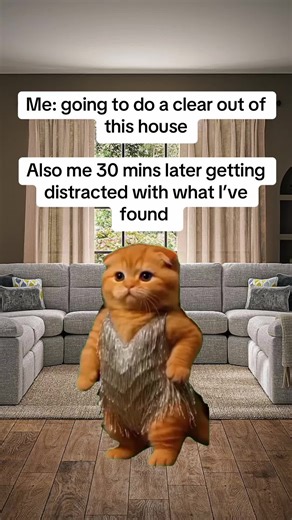 Anyone else relate 😂 #Meme #MemeCut #relatablecontent #clearout #funny