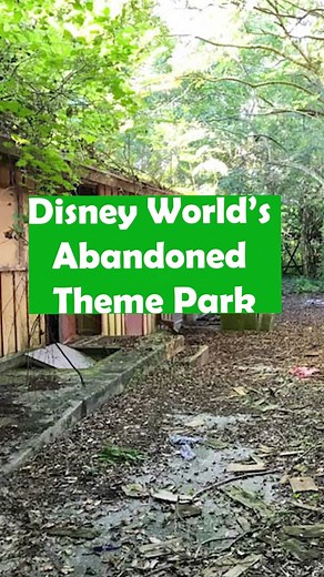 Exploring Disney's Abandoned Discovery Island: A Hidden Gem Revealed