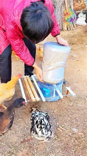 Farmer's Genius! Plastic Bucket Transforms into an All-Weather Feeder!
