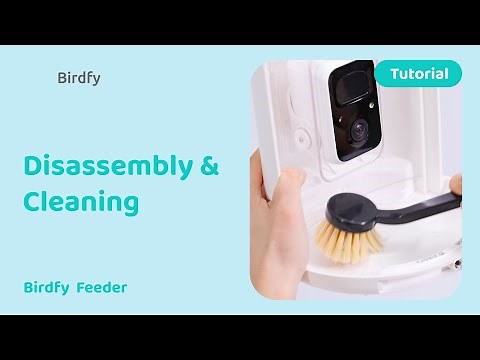 How to Disassemble and Clean Your Birdfy Feeder - Birdfy Feeder Tutorial