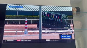 I have pretty much quit betting on horse racing. And race 2 at Gulfstream is a reminder why this sport sucks now. #caws #crime #jail | David Portnoy - El Presidente