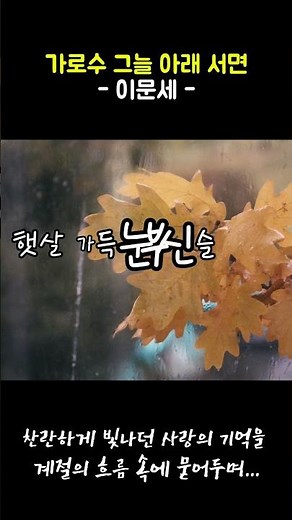 🎵가로수 그늘 아래서면_이문세 🎵라일락 향기 맡으면 생각나는 그 목소리... 잊을 수 없는 기억의 조각