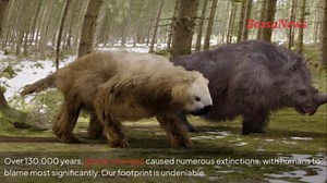 Bird extinctions have a bigger impact than we realise