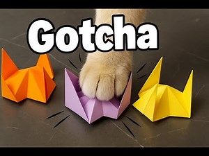 How to Make a Finger Trap for Cats