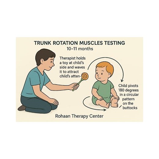 Trunk Rotation Muscles Testing