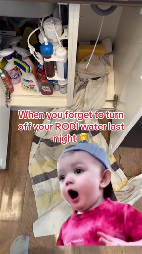 #Meme #MemeCut #flood #water #aquarium