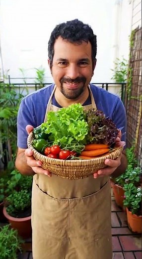 “Grow your own vegetables at home in 3 steps”
