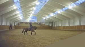 Rollkur, draw reins, and bleeding mouths, in second part of undercover documentary at Helgstrand Dressage