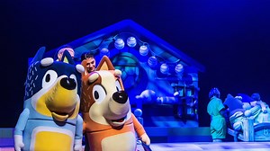 Join the Heelers in their first live theatre show made just for you, featuring brilliantly created puppets. This is Bluey as you’ve never seen before, brought to real life. Tuesday, May 21 at the Cross Insurance Center. Bluey's Big Play is presented by BBC Studios and Andrew Kay in association with Windmill Theatre Co. More info: bit.ly/3uqiO3r Website: blueylive.com Facebook / Instagram: @OfficialBlueyTV #BlueysBigPlay | Collins Center for the Arts