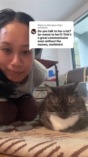 Marzipan the Grumpy Cat: Meow Meow Meow