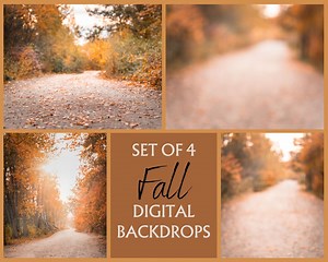 Set of 4 Fall Digital Backdrop, Fall Background, Photoshop Composite, Blurry Background, Fall Photo, Photo Edit, Family Photo, Fall Pathway - Etsy