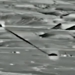 324K views · 2.8K reactions | A technological breakthrough! RAFAEL's...