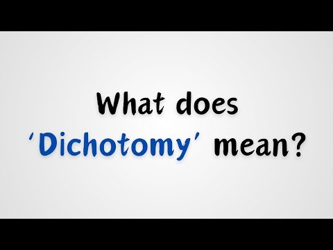 What does Dichotomy mean?