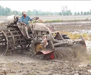 1.7M views · 16K reactions | Good machince working on rice field | Daily Post | Facebook
