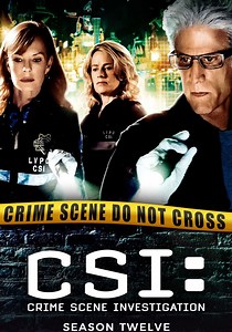CSI: Kryminalne zagadki Las Vegas Sezon 12 online