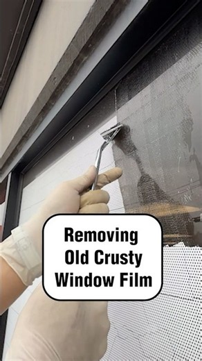 Removing Window Film After 8 Years on the Glass#windowfilm #windowtint #satisfying