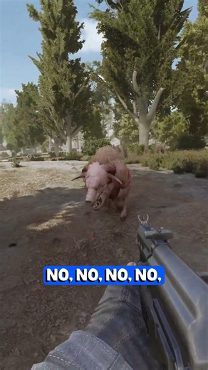 The zone can kill you in so many ways... #stalkergamma