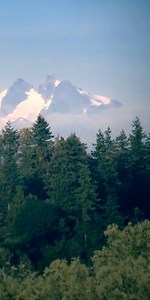 Next week Q13 News This Morning is going All Local. All Morning. from Arlington! | FOX 13 Seattle