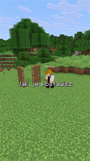 Drzwi w Minecrafcie są jakieś dziwne ....