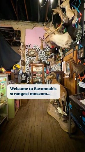 Inside Savannah’s Weirdest Museum
