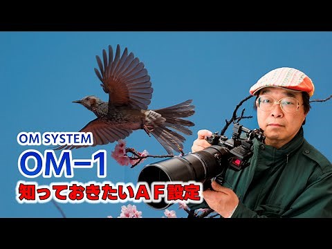 OM SYSTEM OM-1　知っておきたいAF設定