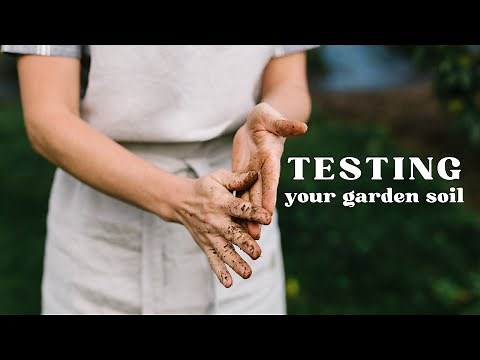 How to test your garden soil