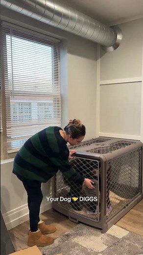 Best Dog Crate on the Market.