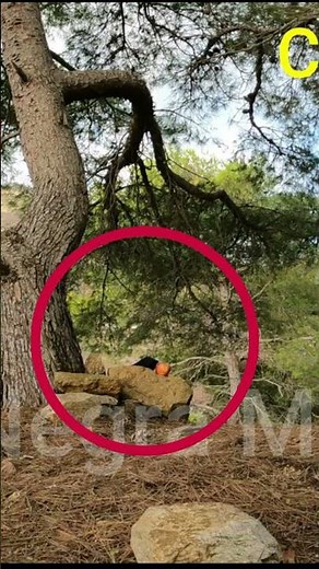DUENDE REAL se MUESTRA ante los HUMANOS por primera vez 15 | Laguna Negra