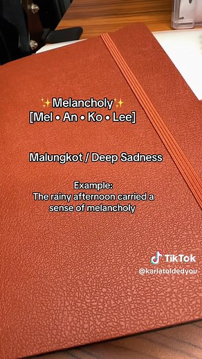 Melancholy (adj. or noun) is a quiet, deep sadness, not loud or dramatic, but heavy, reflective, and lingering. #vocabulary #stem #english