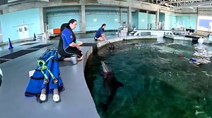 2.8K reactions · 144 shares | Rosie and Rudy’s big adventure! Earlier...