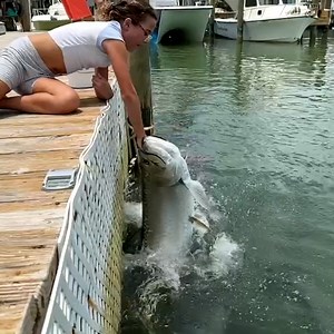 This massive tarpon almost swallowed her whole arm! 🐟😱 | Furry Tails