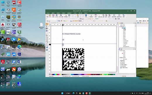 Laview关联CodeSoft进行打标