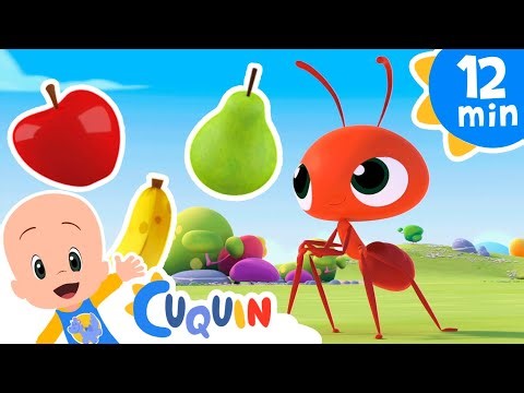 Las hormigas marchan | Mejores canciones infantiles de Cleo y Cuquín