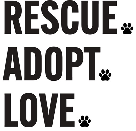 🤝✨ Teamwork makes the dream home work! 🏡💪 When a lender and realtor truly collaborate, clients feel it — deals move smoother, communication stays crystal clear, and everyone looks like a rockstar. 🌟🎤 At Motto Mortgage Energy, I don’t just take the app and disappear. I work with you every step of the way — strategizing, problem-solving, and making sure we’re both delivering the kind of experience that keeps clients raving (and referring 🗣️💥). Let’s build more than deals… let’s build a part