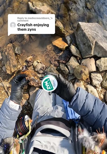 Resourceful Fly Fishing Tips for Beginners