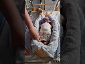 Z Flow nest building