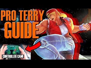 Pro TERRY Character Guide - (w controller cam) INPUTS SHOWN