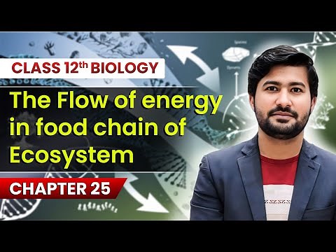 The Flow of energy in food chain of Ecosystem | class 12 Chapter 25 by irtisams biology