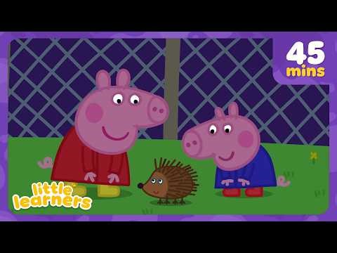 Peppa Pig Learns About Animals! 🦔🐾 | Peppa Pig Full Episodes | 45 Mins | Little Learners