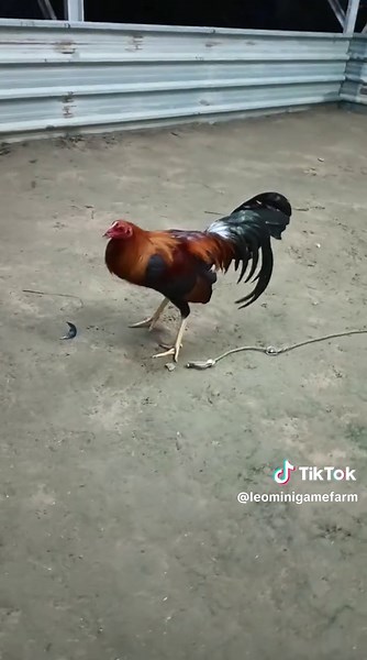 ✈️✈️✈️🤝