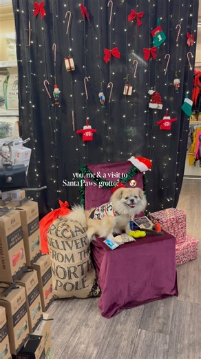 King's Road | London on Instagram: "Santa Paws is coming to town…is it time for your pup to write their letter? ✉️🎅🏼🐾 Step into @petpavilion’s grotto and unleash the festive fun: 📸 £5 voucher when you post and tag a photo in the grotto 🎁 3-for-2 toys until 24 December 🍪 Cranberry Bites, Turkey Chews and build-your-own gift tins at the Treat Bar 💆 Mulled spice & vanilla spa upgrades + giftable vouchers for good boys and girls 🛍️ Cosy blankets, festive jumpers and plush toys perfect for sn