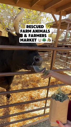 Visit This Perfect Farm in Las Vegas