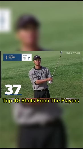 Top 40 THE PLAYERS shots over the years Part 1 (YT: PGA TOUR) #TopGolfShots #THEPLAYERS #GolfHighlights #GolfShots #PGAHighlights #GolfMoments #BestGolfShots #EpicGolf #GolfTikTok #GolfViral #GolfSwingGoals #GolfAddict #PGA2025 #GolfReels #TigerWoods #ScottieScheffler #RoryMcIlroy #JordanSpieth #JustinThomas #JonRahm #ViktorHovland #XanderSchauffele #MaxHoma #CollinMorikawa #TonyFinau #RickieFowler #PatrickCantlay #CameronSmith #TomKim #MatthewFitzpatrick #GolfGoals #GolfLife #ClutchShots #SlowM